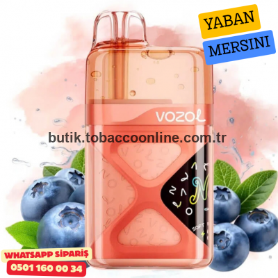 Vozol Neon 60000 PUFF Blueberry Energy – Yaban Mersini